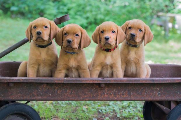 37851588_1833447023418877_2668854242072068096_o