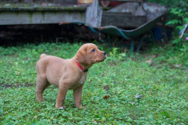 37874930_1833445466752366_5396954362536787968_o