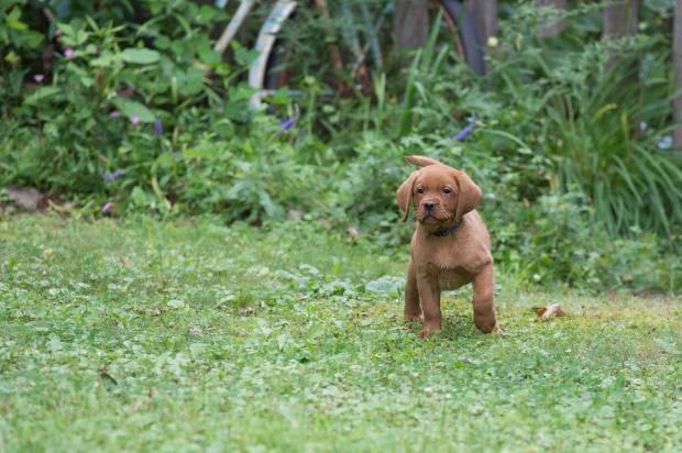 37891994_1833445386752374_4279532630942154752_o